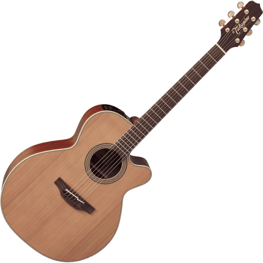 Takamine EN40C western gitaar