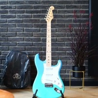 SX SEM1/BG elektrische gitaar - beginners