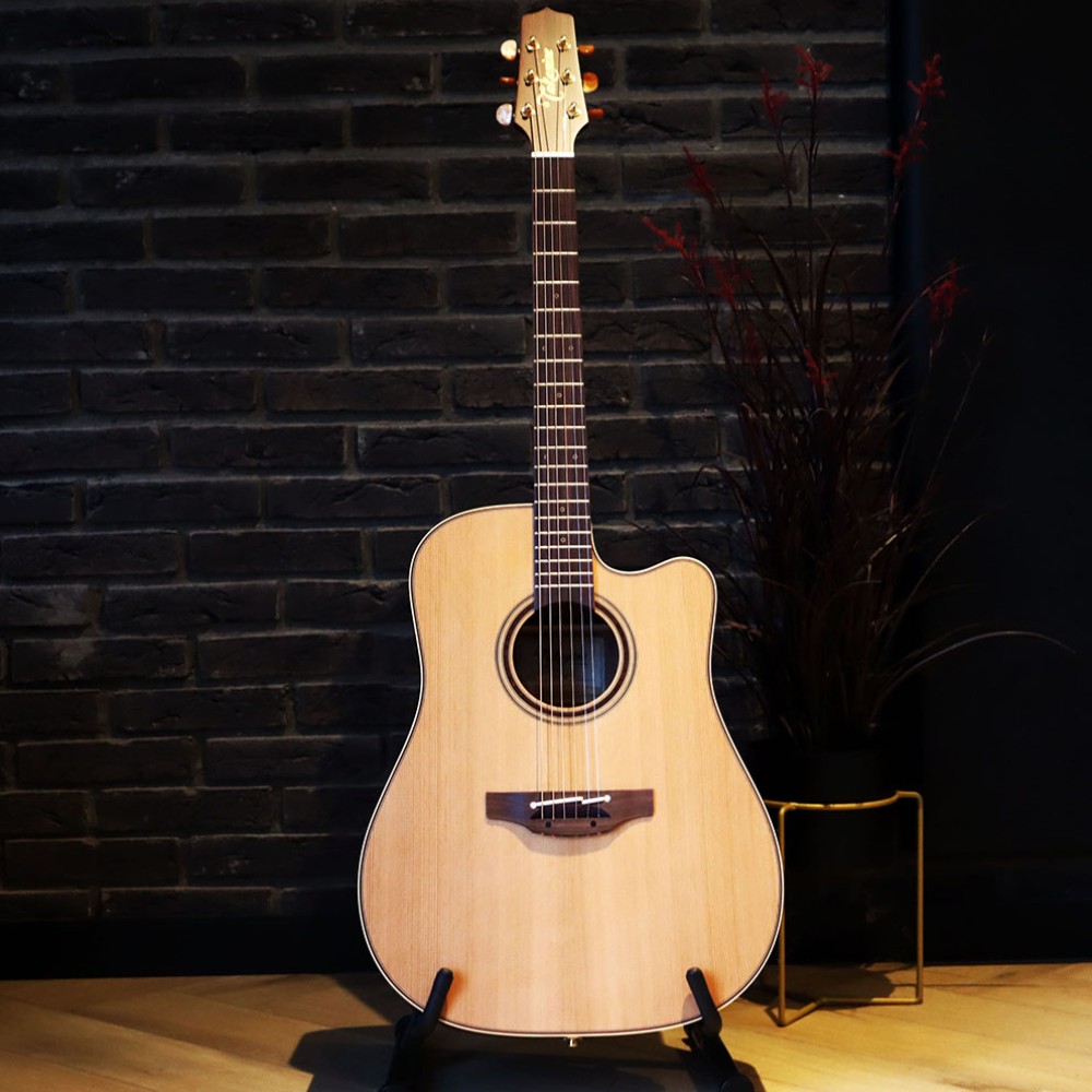 Takamine P3DC western gitaar