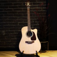 Takamine P5DC western gitaar
