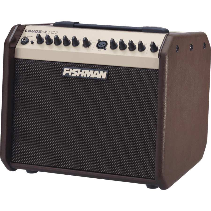Fishman PRO-LBT-5 akoestische gitaarversterker 60w