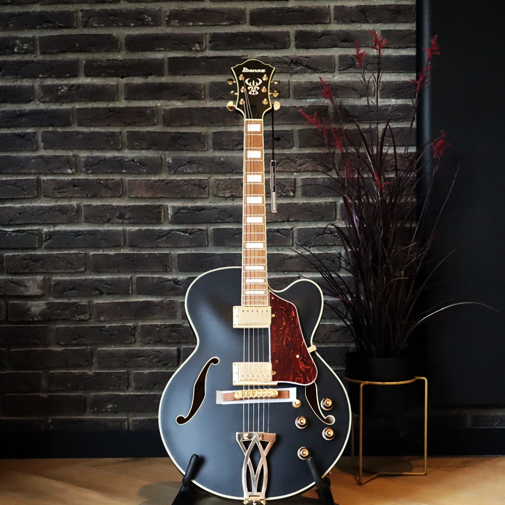 Ibanez AF75GBKF elektrische gitaar
