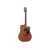 Takamine GD11MCENS western gitaar