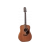 Takamine GD11MNS western gitaar