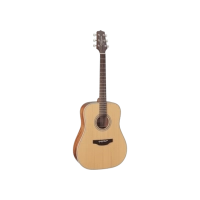 Takamine GD20NS western gitaar