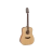 Takamine GD20NS western gitaar