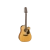 Takamine GD30CE-12NAT western gitaar