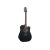 Takamine GD30CEBLK western gitaar