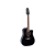 Takamine GD38CE-BLK western gitaar