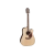 Takamine GD93CENAT western gitaar
