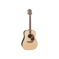 Takamine GD93NAT western gitaar