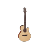 Takamine GF15CENAT western gitaar