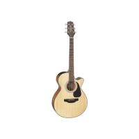 Takamine GF30CENAT western gitaar