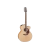 Takamine GJ72CENAT western gitaar