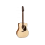 Takamine GLD12ENS western gitaar