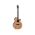 Takamine GN20CENS western gitaar