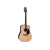 Takamine EF360GF western gitaar