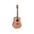 Takamine FN15AR western gitaar
