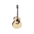 Takamine P5JC western gitaar