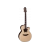 Takamine TSF48C western gitaar