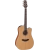 Takamine GD20CENS western gitaar