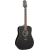 Takamine GD30BLK western gitaar