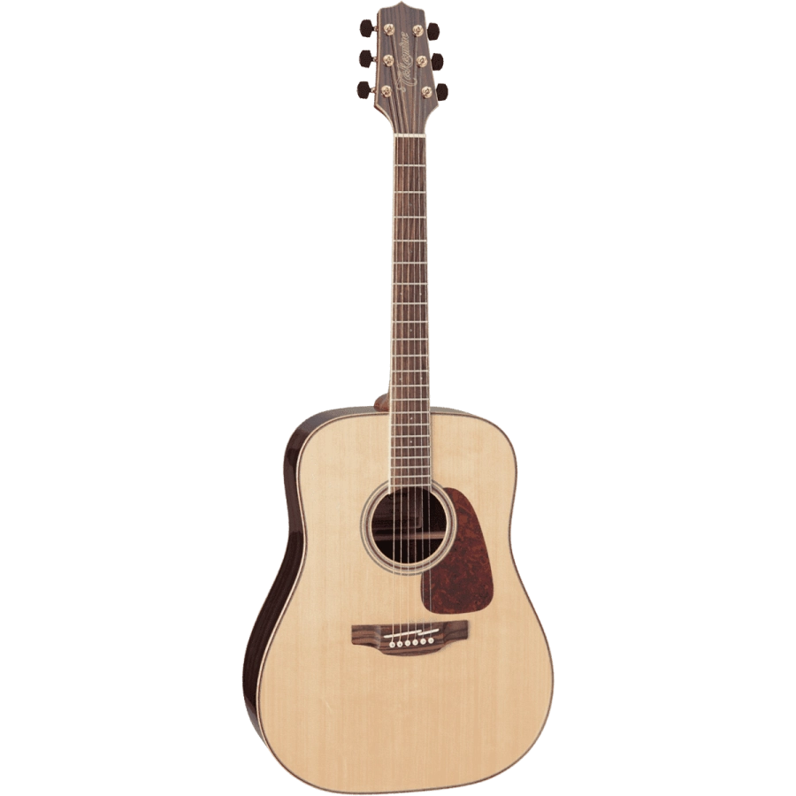 Takamine GD93NAT western gitaar