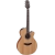 Takamine GN20CENS western gitaar