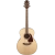 Takamine GN93NAT western gitaar