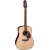Takamine FT340BS western gitaar