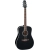 Takamine FT341 western gitaar