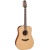 Takamine P3D western gitaar