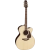 Takamine P5JC western gitaar