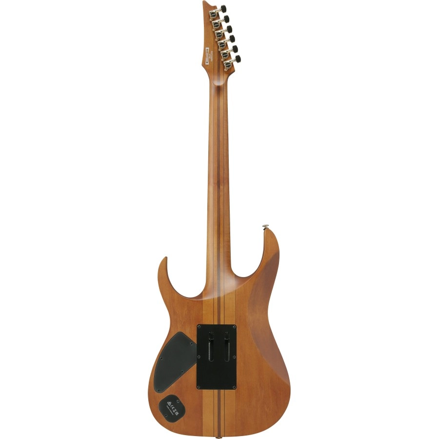 Ibanez RGT1220PBABS Premium elektrische gitaar met tas