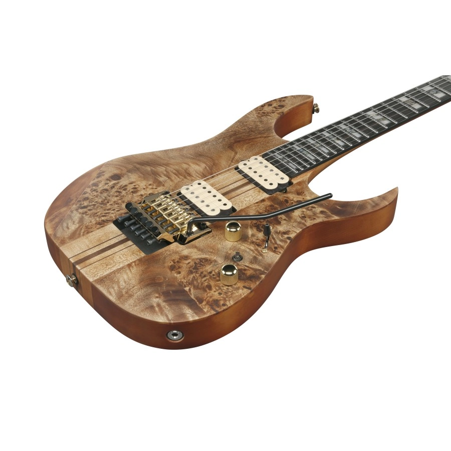 Ibanez RGT1220PBABS Premium elektrische gitaar met tas