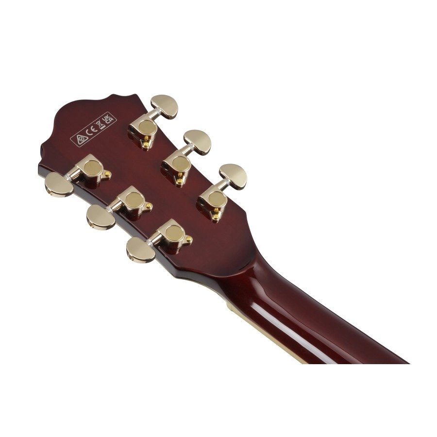 Ibanez AG95KNT hollow body gitaar