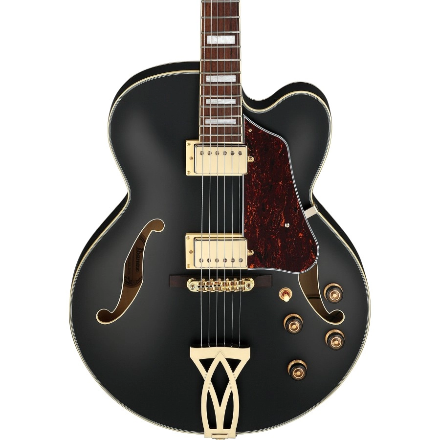 Ibanez AF75GBKF elektrische gitaar