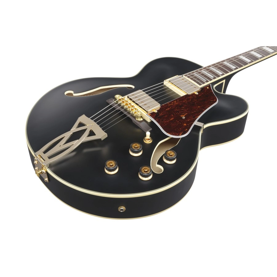 Ibanez AF75GBKF elektrische gitaar
