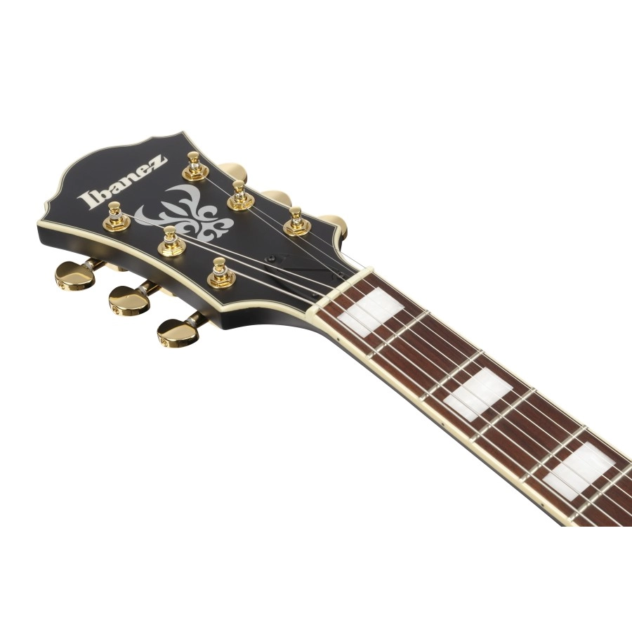 Ibanez AF75GBKF elektrische gitaar
