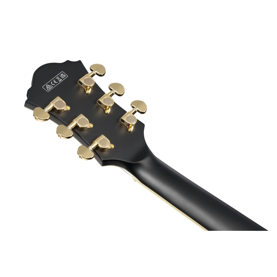Ibanez AF75GBKF elektrische gitaar