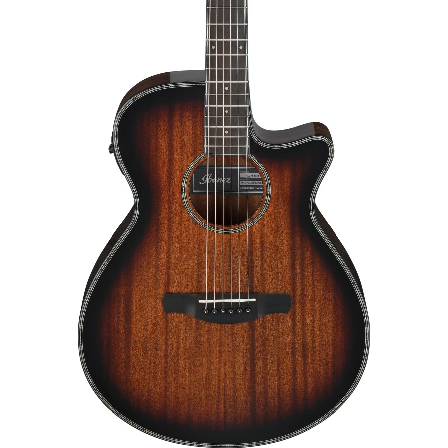 Ibanez AEG74MHS akoestische gitaar