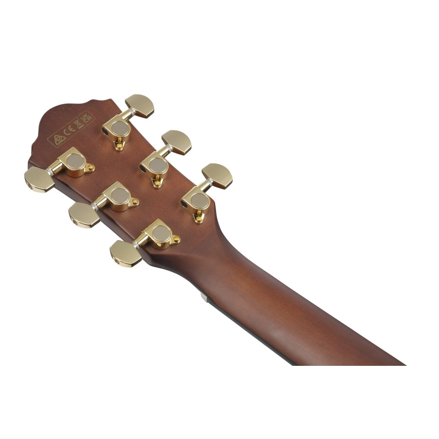 Ibanez AEG74MHS akoestische gitaar